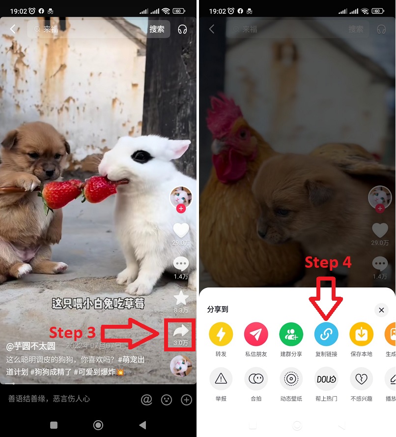 How to copy Douyin video link on phone