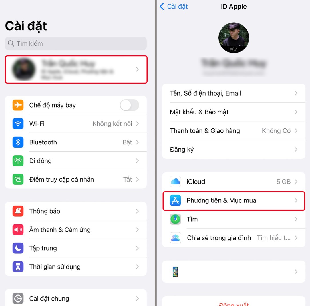 How to download Douyin on iPhone